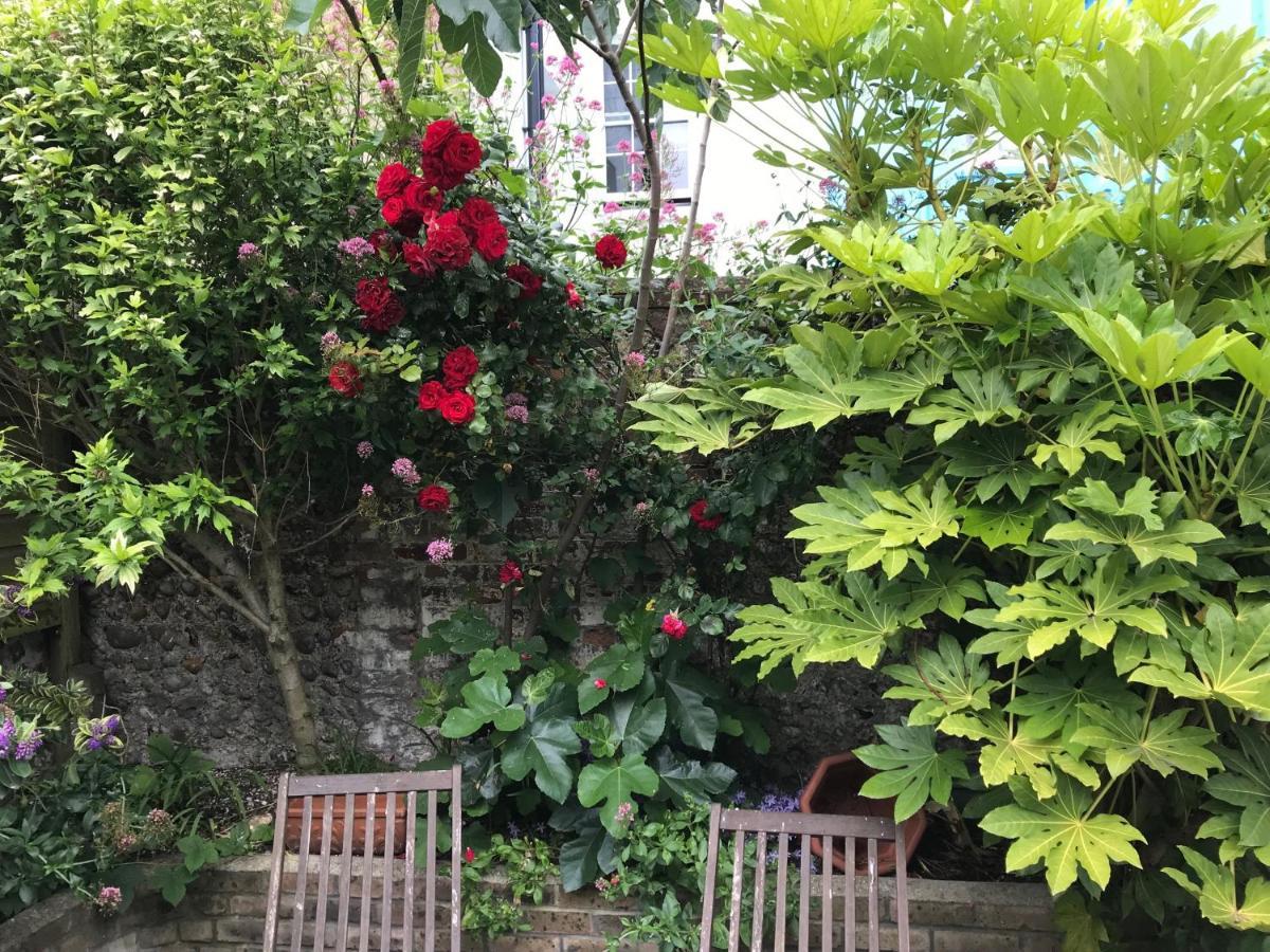 Amazing Apartment, Private Garden, Off Street Parking Brighton Dış mekan fotoğraf